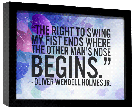 Oliver Wendell Holmes Quote